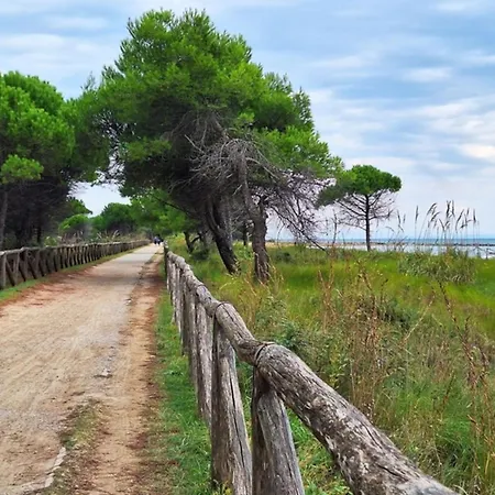 Functional With Balcony-beahost * Lo Stallone